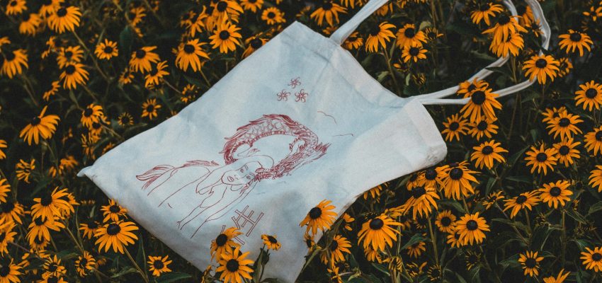 justin-buisson-1RrWo9gsioo-unsplash