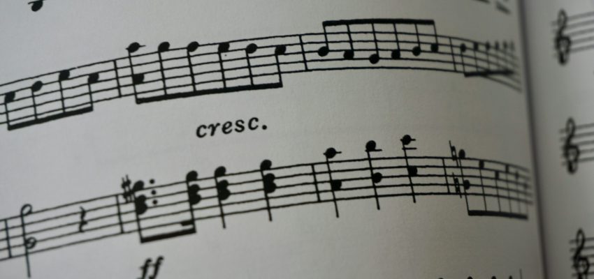 karen-chew-8MOLegdydLk-unsplash