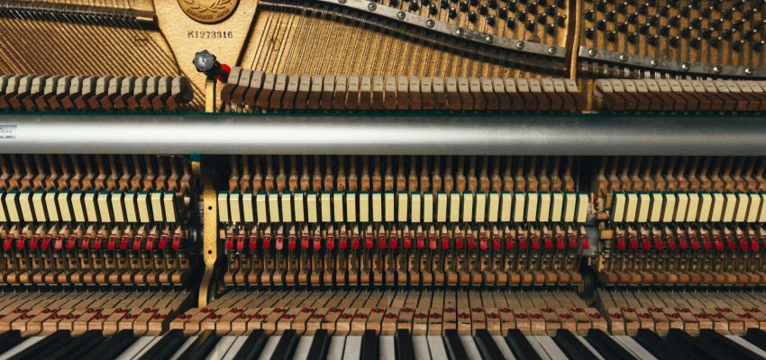 markus-gjengaar-v3l8kTbPhzA-unsplash